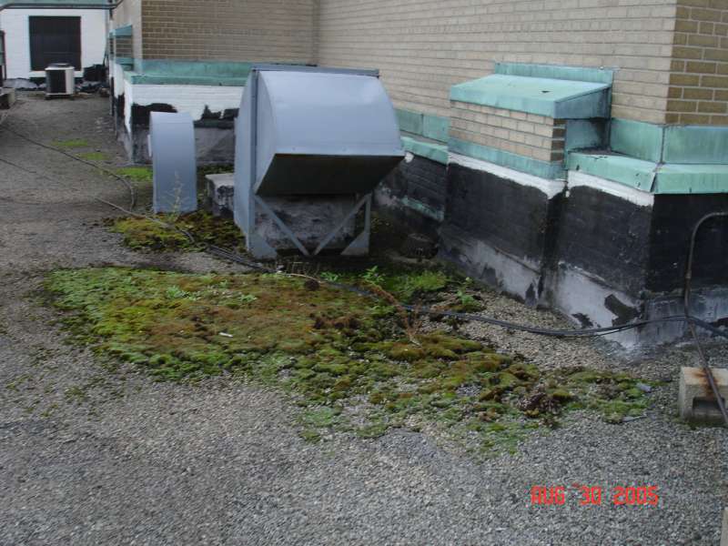 Buffalo, NY Commercial Flat Roof Maintenance Programs